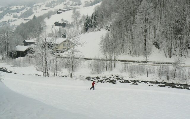 Modern Apartment in Silbertal With Sauna