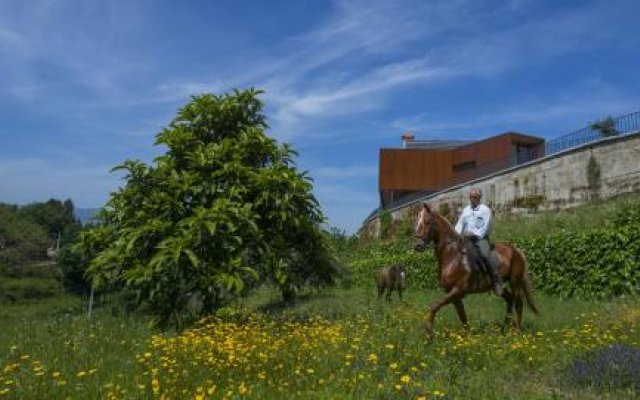 Quinta do Fontelo