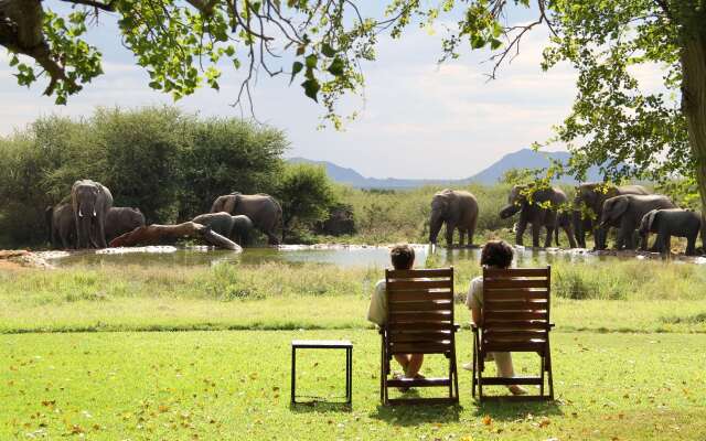 Last Word Madikwe