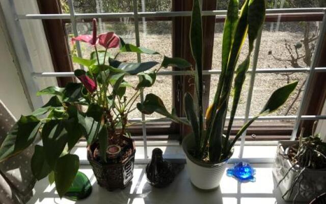 Brunius Bed and Breakfast