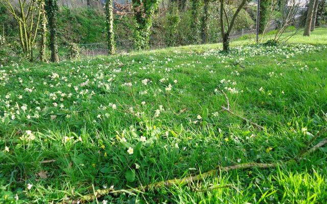 Chambre d'hôtes La Roncellière