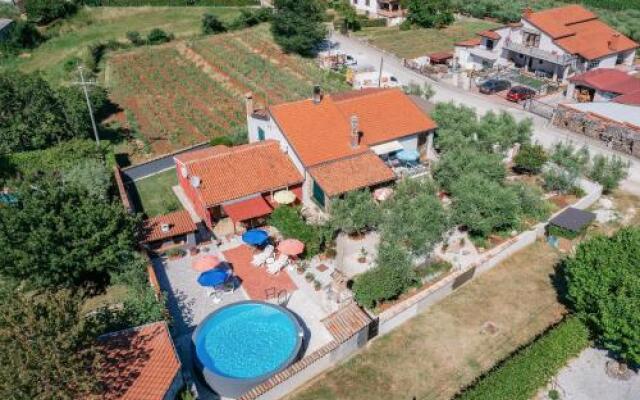 Apartment with pool Visnjan