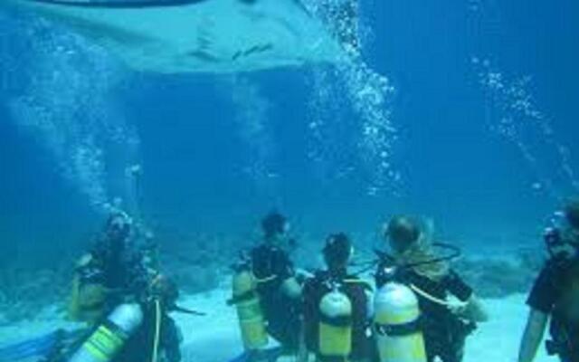 Fins Dive And Leisure Hotel