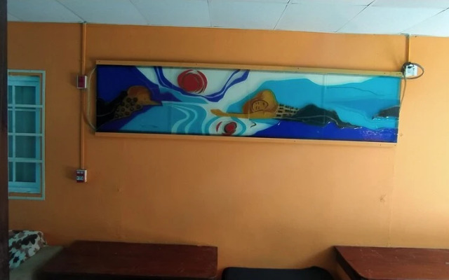 Surfari Bocas