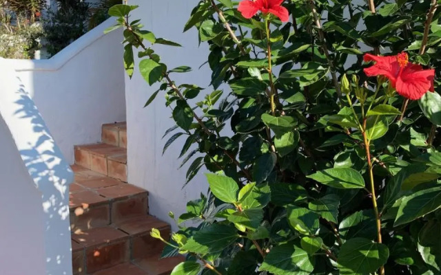 Casa con terraza y hermoso jardín comunal