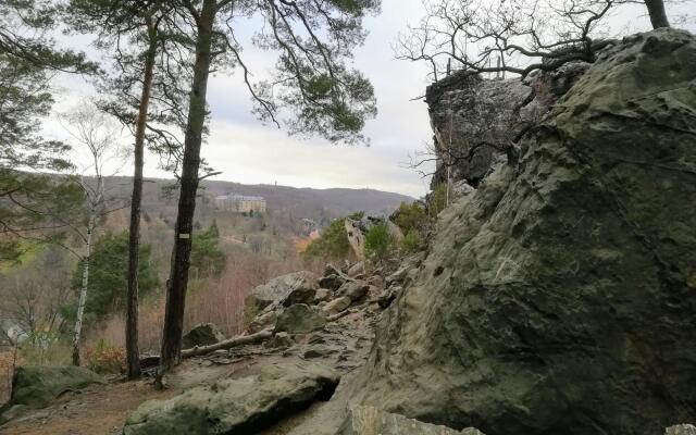 Spacious Apartment in Blankenburg Harz near Ski Area