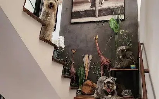 Chalé Ateliê Poder das Pedras