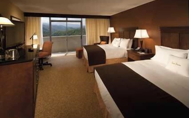 The Park Vista - a DoubleTree by Hilton Hotel - Gatlinburg