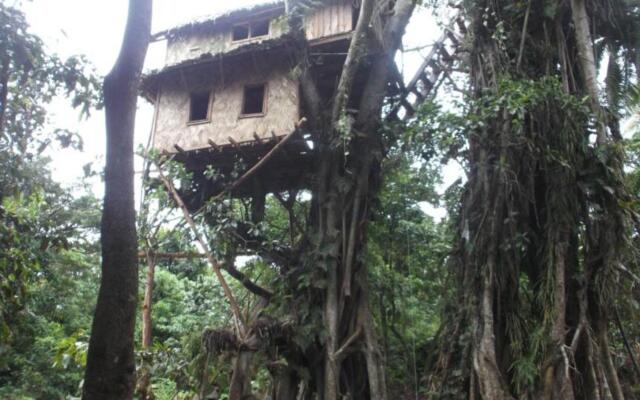 Tanna Lava View Bungalows