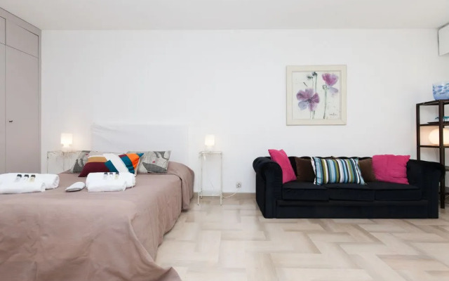 Gray D'Albion Studio