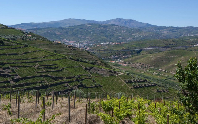 Quinta de Casaldronho Wine Hotel