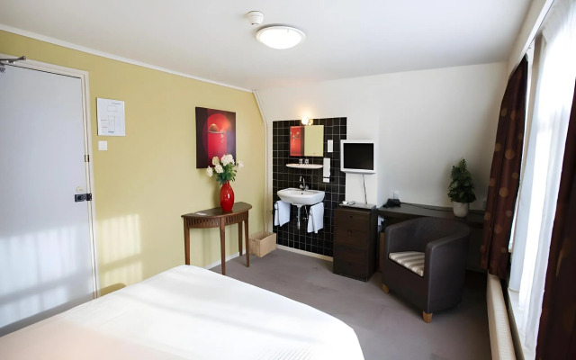 Quentin Hotel Golden Bear