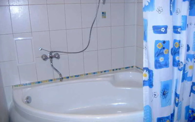 Ukrainian Hotel Service Apartments