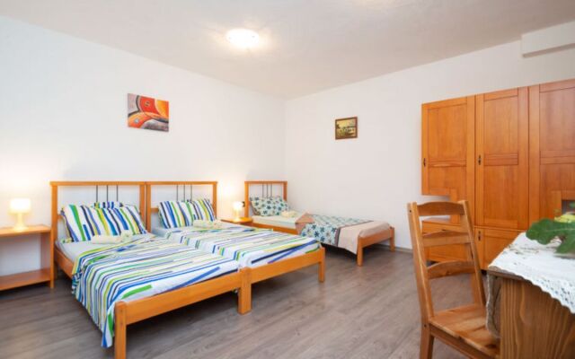 Vinka Laginji in Laginji