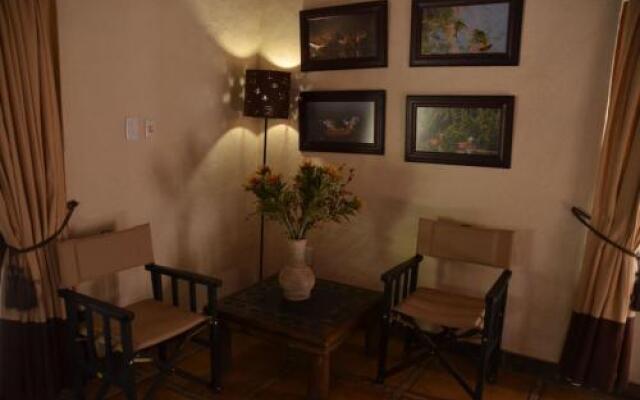 Moholoholo Forest Camp