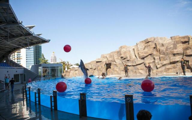 Studio Apartment On Khimshiashvili 15