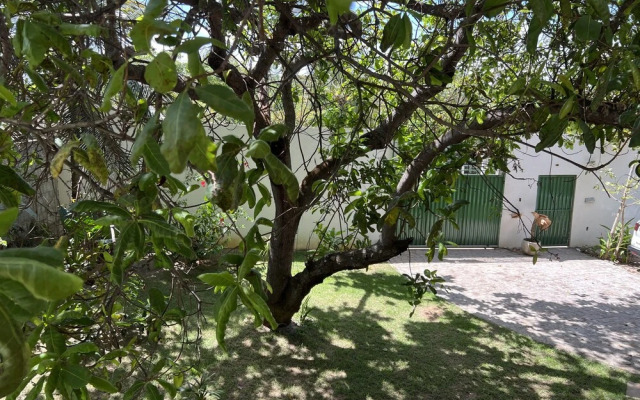 Pipa panorama