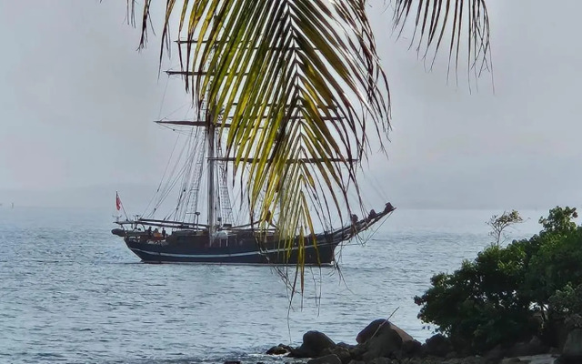 Studio magnifique vue mer - Bord de plage