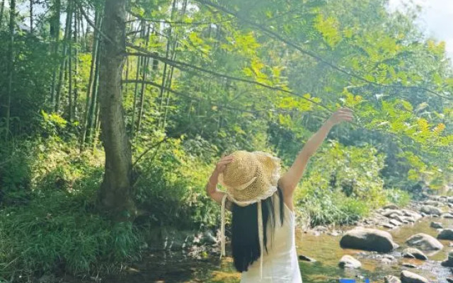 Tea  · Xingzhi Mountain Resort Homestay