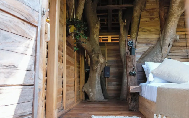 Roots Tree House