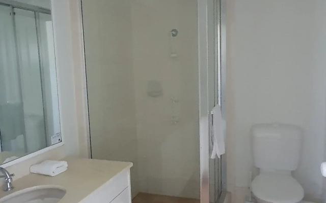 Princess Palm on the Beach