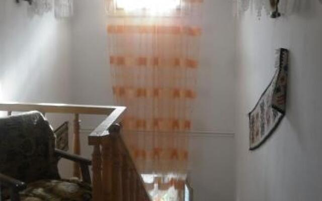 Pensiunea Ana Orghici