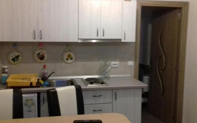 Apartament central V&P