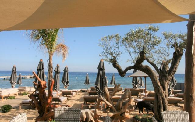 Modern Villa in La Croix-valmer With Private Pool