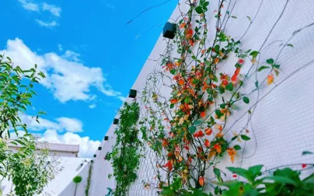 Shaxi Ancient Town - Dunwai Homestay