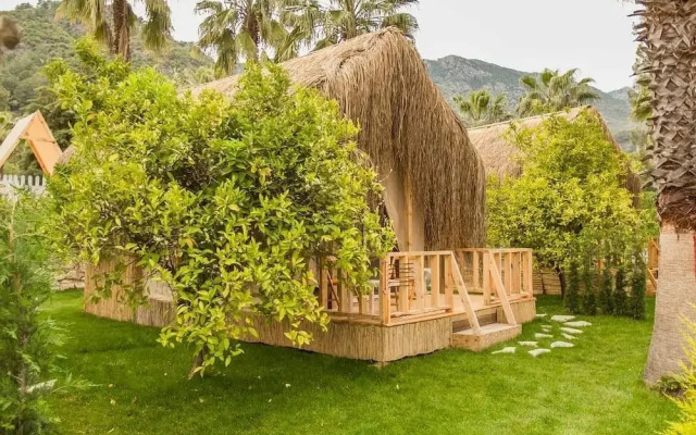 The Hill Glamping