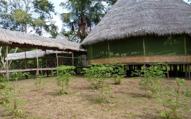 Amazon Yanayacu Lodge