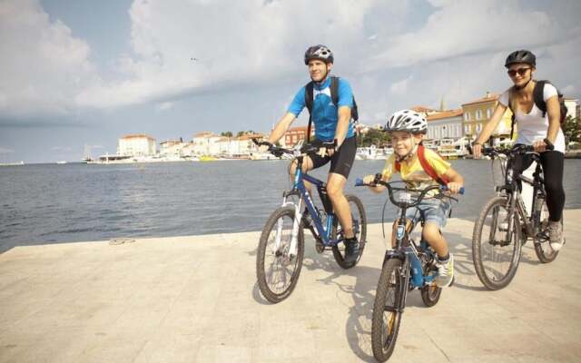 Villa Ovis in Peresiji