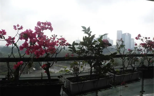 Shenzhen Leyi Family Apartment