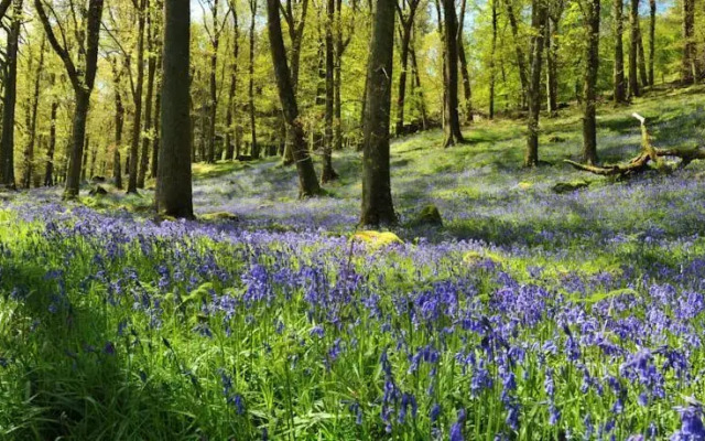 The Old Presbytery Hostel