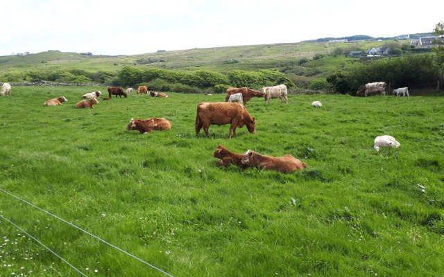 Doolin Farm Apartment