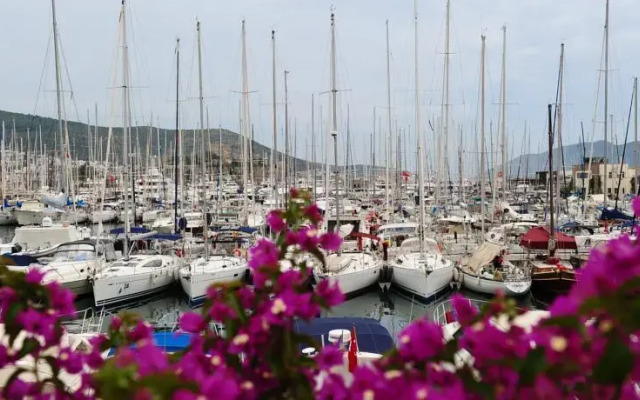 Pupa Yachting