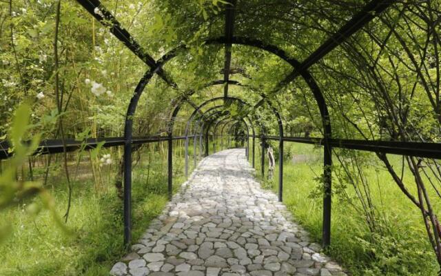 Tsinandali Museum Guest House