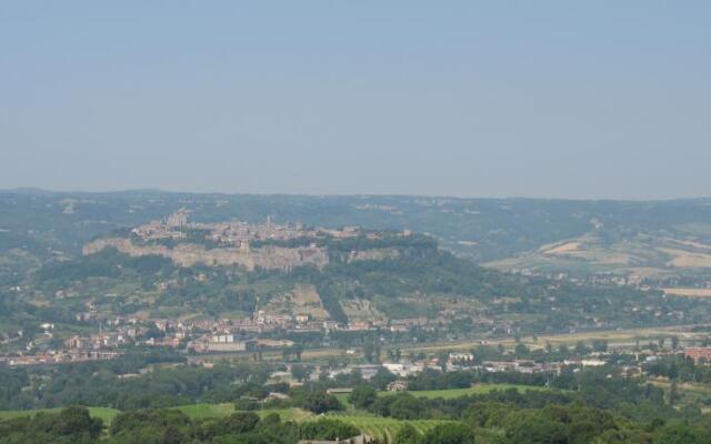 Osarella