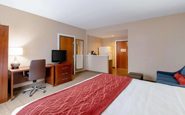 Comfort Inn and Suites Fredericksburg