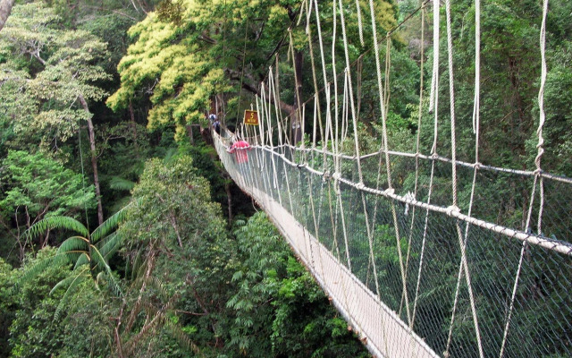 Capital O 90665 Countryview Recreation Park & Resort - Hostel