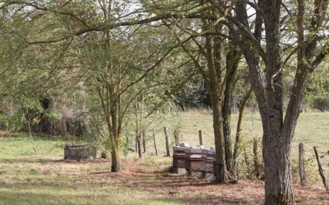Gite de la Maison Fort