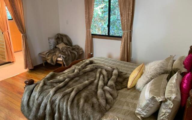 Figtree Getaway