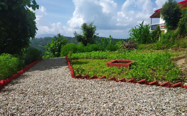 Pine pioneer the eco resort