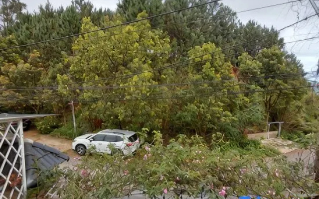 NEST HOUSE Homestay – Outside – Da Lat