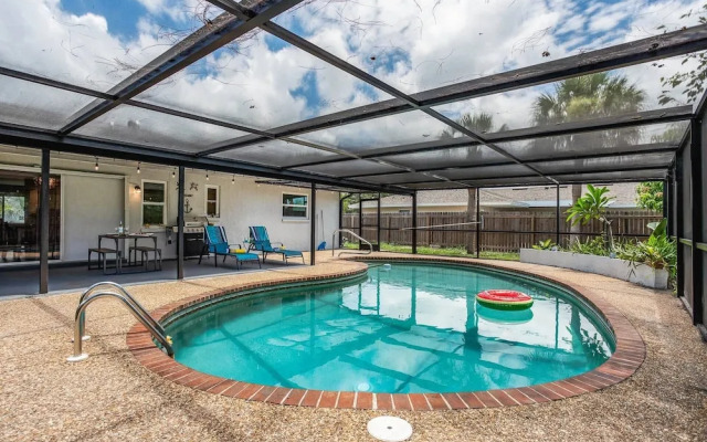 Playful Dolphins Pool Home