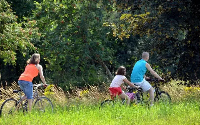 Best Western Hotel Lamandier