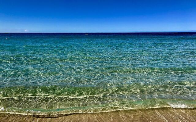 Hale Kaimana - 3 Br Condo