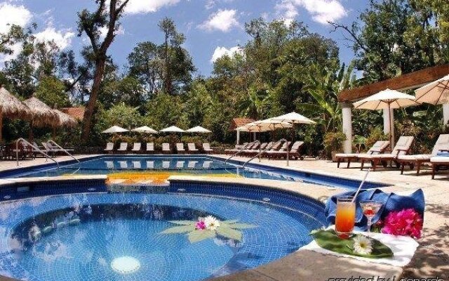 La Casa de los Arboles