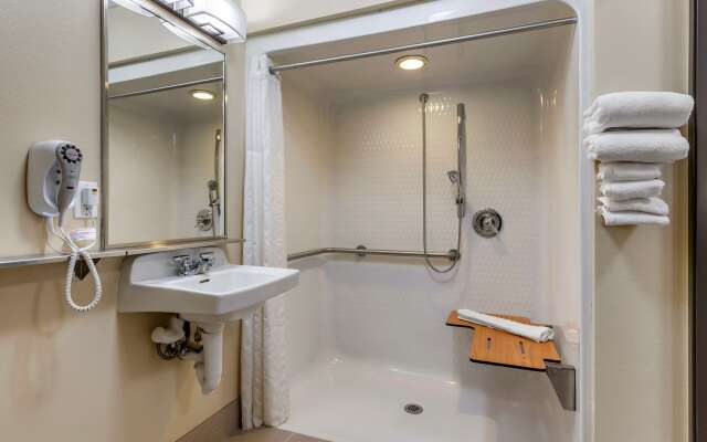 Comfort Inn & Suites Diamondale – Lansing