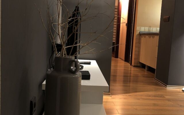 Apartment Nevena 3